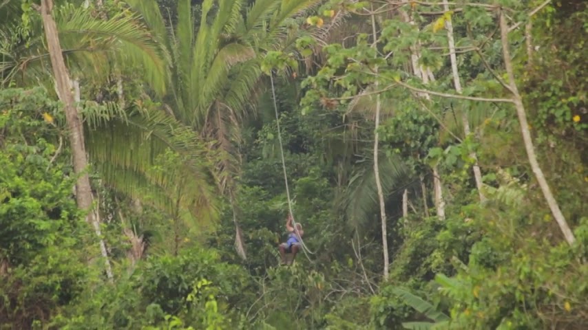 Bocawina Rainforest Resort & Adventures by null