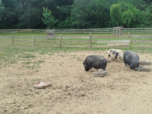 Photo n°22 de LA FERMETTE DES 3 à Pompiac (Ferme pédagogique)