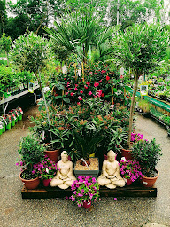 Photo n°12 de GAMM VERT à Saint-Julien-en-Genevois (Pépinière)