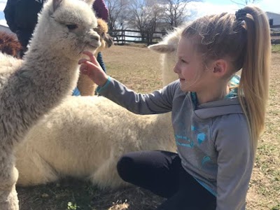 Painted Sky Alpaca Farm & Fiber Mill