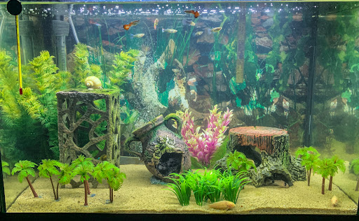 Mainely Fish - Thumbnail