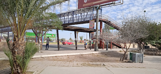 bomberos Park - Visual