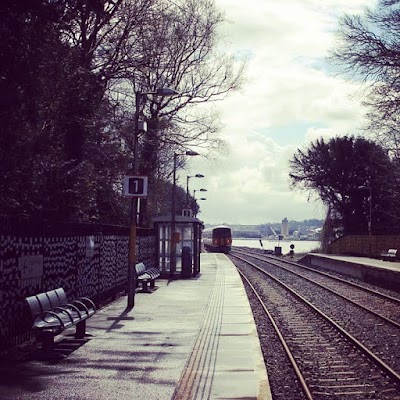 Photos of Fota Train Station