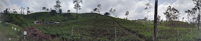 Photos of Lanka Filling Station Kotagala