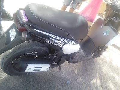 Photos of Condor