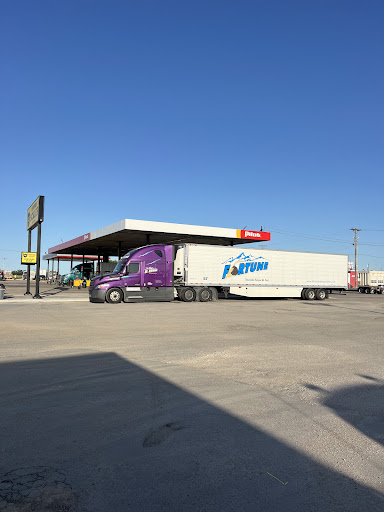 Roadsters - Visual