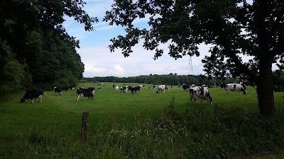 Photos of Duvenstedter BrookHus (NABU)