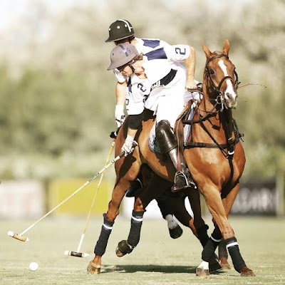 Photos of Santa Mar&iacute;a Polo Club Sotogrande