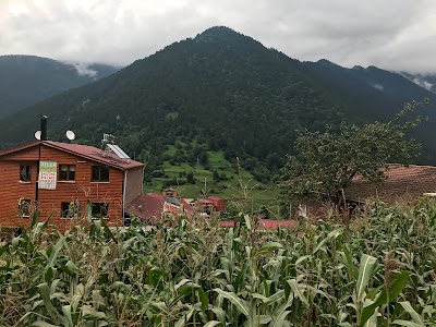 Uzungol Lake