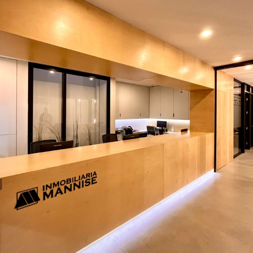 Inmobiliaria Mannise