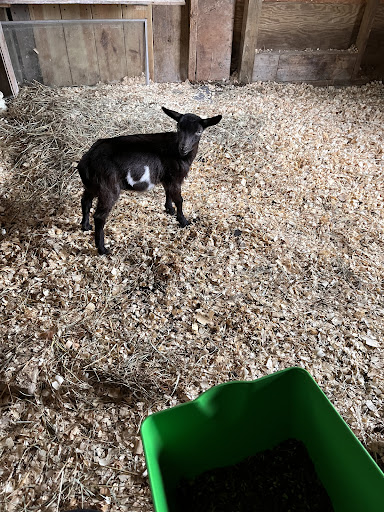 Seventh Heaven Farms, LLC - Thumbnail