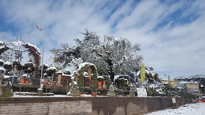 Photos of Vivaio a Roma: Comandini Garden