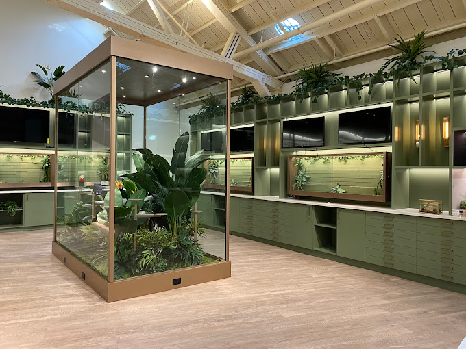 Leisure Cannabis Dispensary in Oakland, California