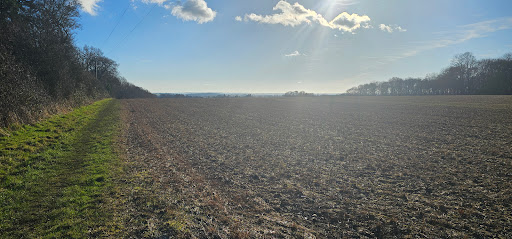 Bulrush Road - Visual