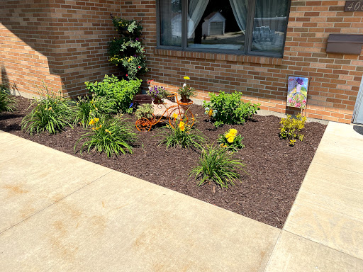 Pinecrest Community - Visual