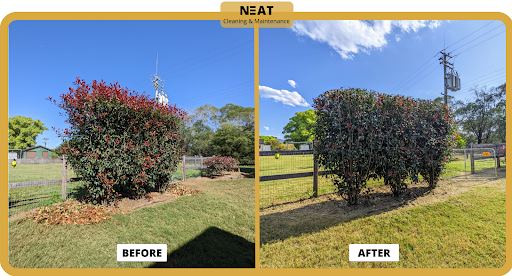 Neat Cleaning & Maintenance - Thumbnail