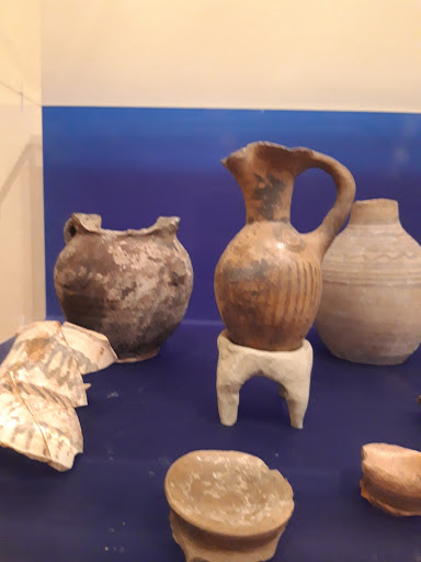 Palazzo della Cultura "Mastrogiovanni Tasca" - Museo Civico Ortolani - Biblioteca Pagliaro - Thumbnail