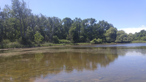 Wommack Pond - Thumbnail