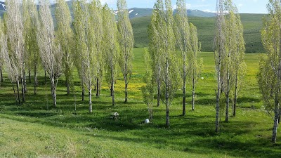 Photos of Teke Deresi G&ouml;leti