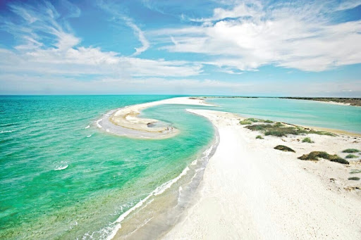 Sea Paradise Charters - Thumbnail