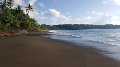 Photos of Life For Life - Sea Turtles Project Hostel