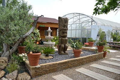 Photos of Garden Center Ejea