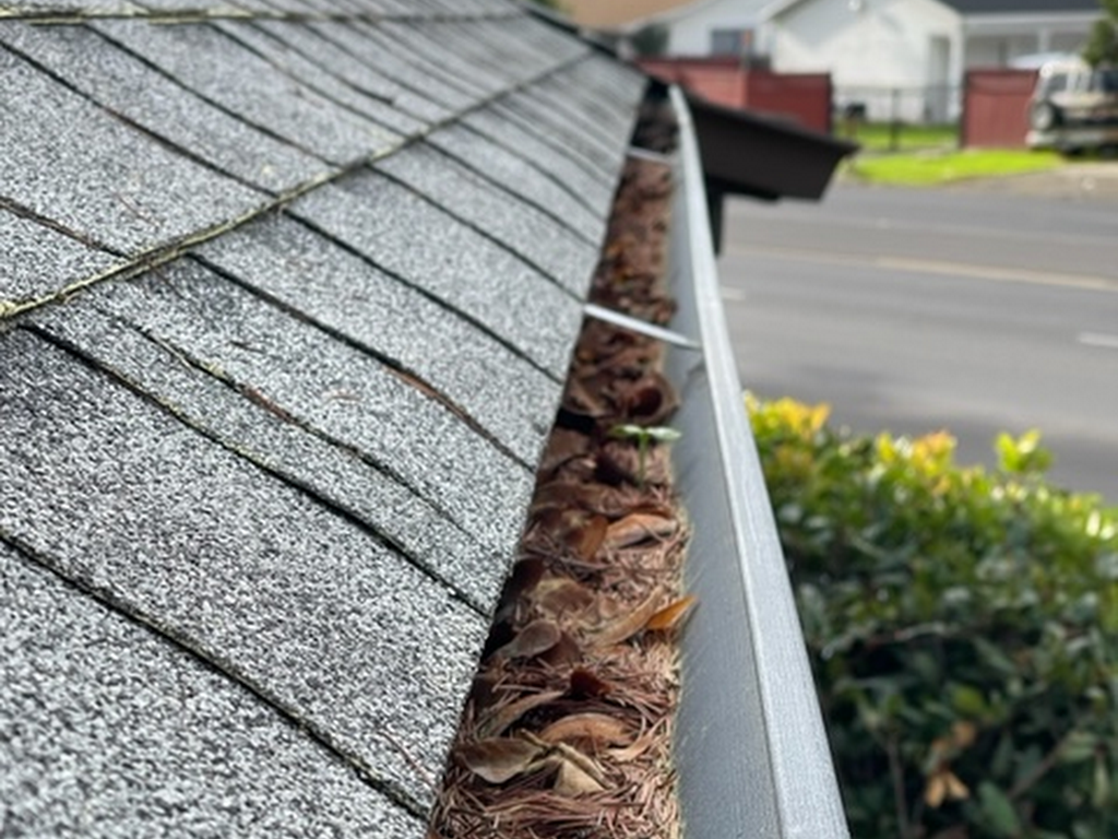 All Star Solar Cleaning LLC