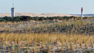 Photo n°26 de Les Mimosas Cap-Ferret à Lège-Cap-Ferret (Maison de vacances non-fumeurs)