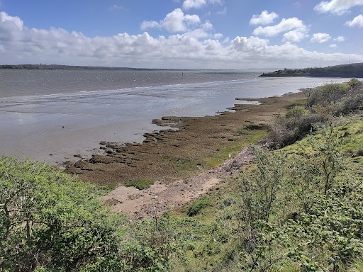 Shorefields Nature Park
