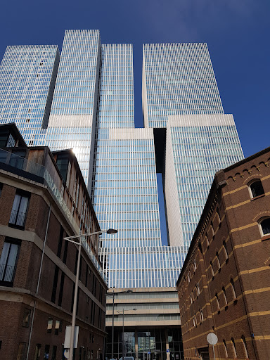 The Rotterdam - Thumbnail