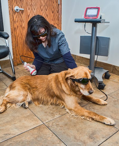 Photos of Sandy Animal Clinic