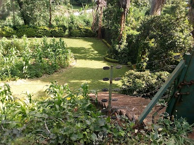 Photos of Embassy of Germany
