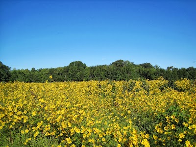 Jack Creek Park