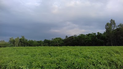 Photos of Tapibari Natural Scence