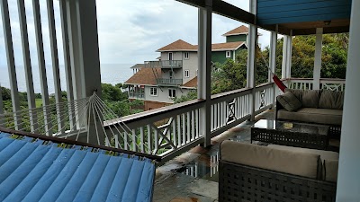 Photos of Gecko Loco