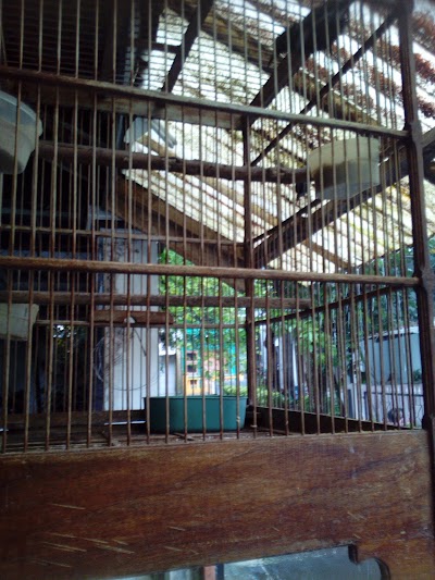 Photos of Bang Jamur Mushroom Company