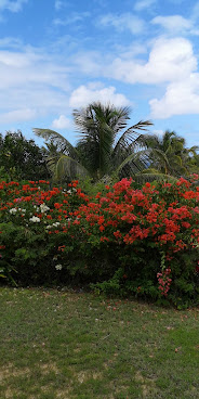 Stella Maris Resort Club by null