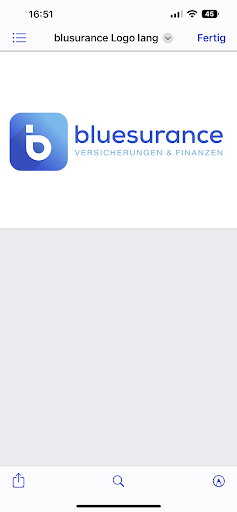 bluesurance - Thumbnail