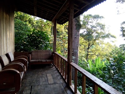 Photos of kebun retno