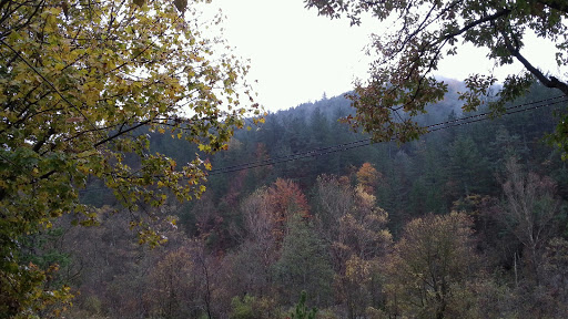 Arrêt du Saut du Loup - France