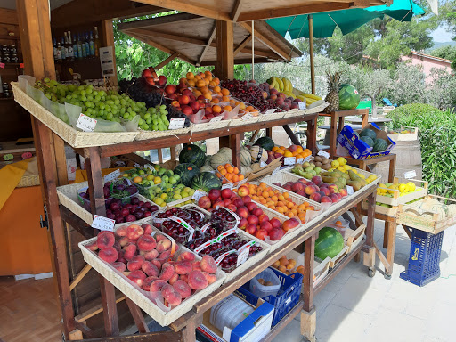 FRUTT'ELBA di Di Mascio Massimo s.a.s. e C. - Thumbnail