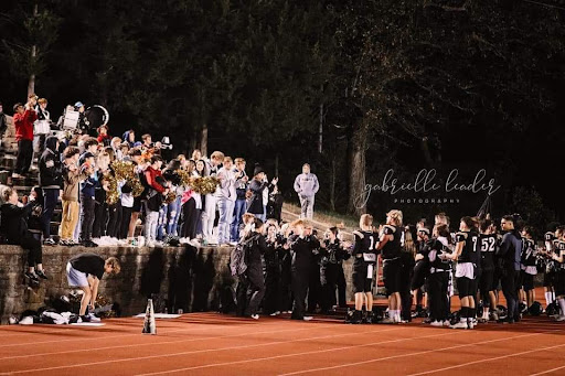 Cameron Field - Visual
