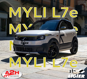 Photo n°7 de VOITURE SANS PERMIS LIGIER MICROCAR LUISANT A2H à Luisant (Vendeur de voitures d'occasion)