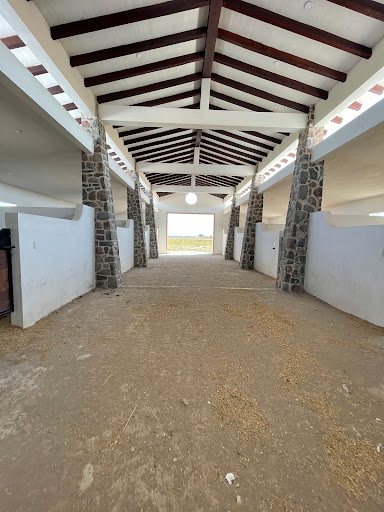 CARRIL SAN MIGUEL ALLENDE