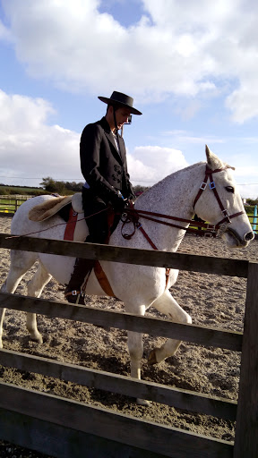 Broads Equestrian Centre - Thumbnail