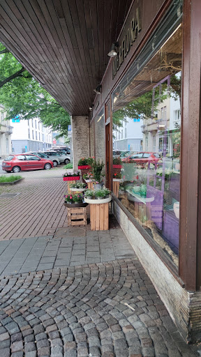 Blumen-Corso - Visual