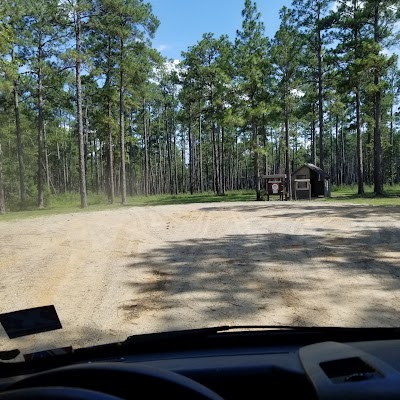 Little Tiger ATV Trail - Desoto National Forest