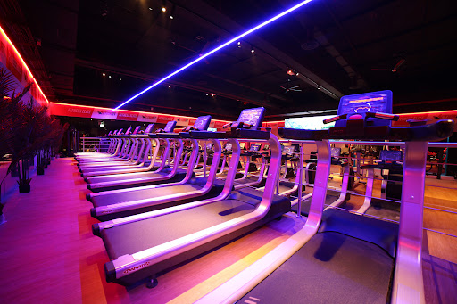 Action Fit Tolstoi