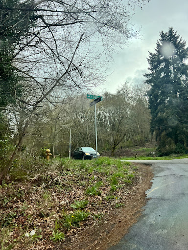 Cheasty Boulevard - Visual