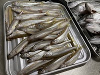 Onishi Guest House SANTOS(鬼石ゲストハウスさんと宿)